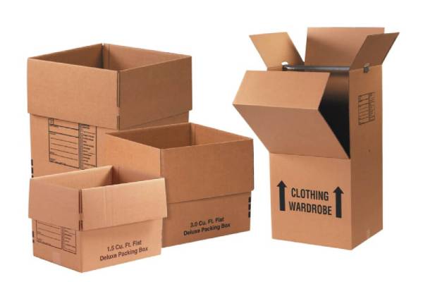 Case Study Image